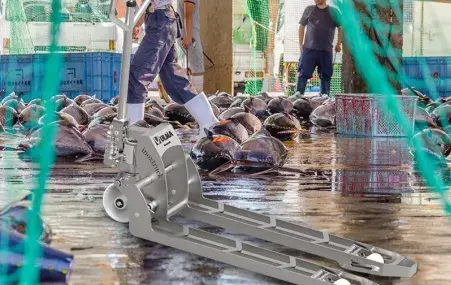 Transpalette manuel inox MPT15