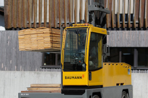 Baumann latéraux ELX