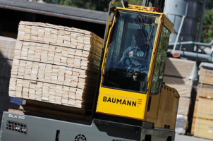 Baumann latéraux ELX